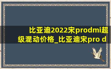 比亚迪2022宋prodmi超级混动价格_比亚迪宋pro dm-i超级混动价格表